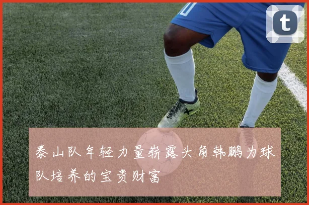 泰山队年轻力量崭露头角韩鹏为球队培养的宝贵财富
