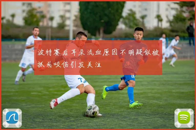 波特赛后耳朵流血原因不明疑似被抓或咬伤引发关注