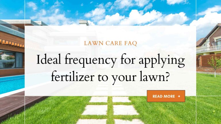 What is the ideal frequency for applying fertilizer to your lawn?