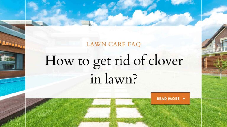 How to get rid of clover in lawn?