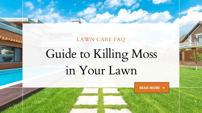 The Ultimate Guide to Killing Moss in Your Lawn