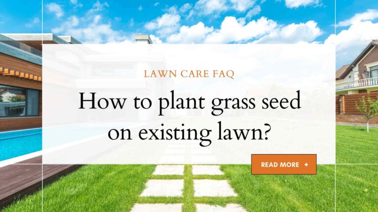 How to plant grass seed on existing lawn?