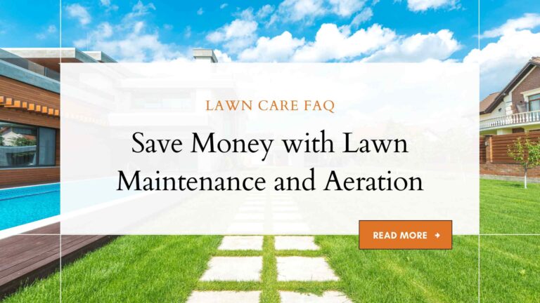 How Proper Lawn Maintenance and Aeration Can Save You Money?