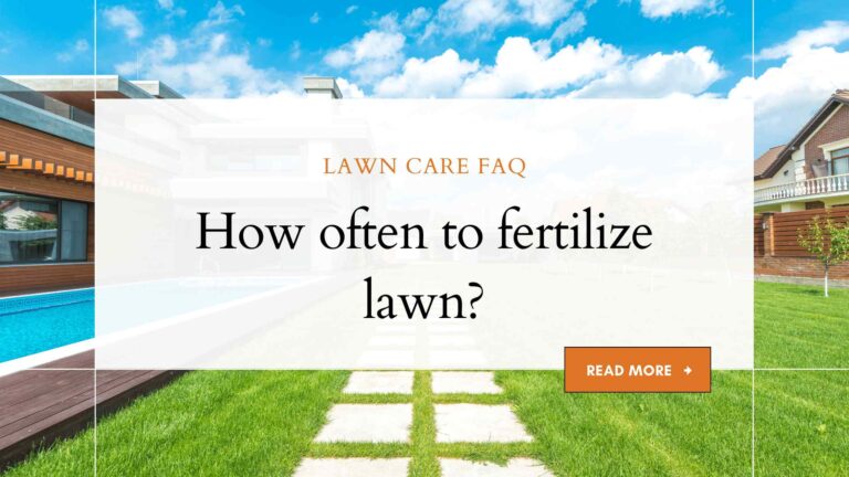 How often to fertilize lawn?