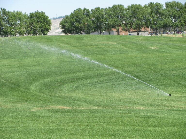 The Benefits of Installing a Lawn Irrigation System: Convenience, Savings, and Efficiency