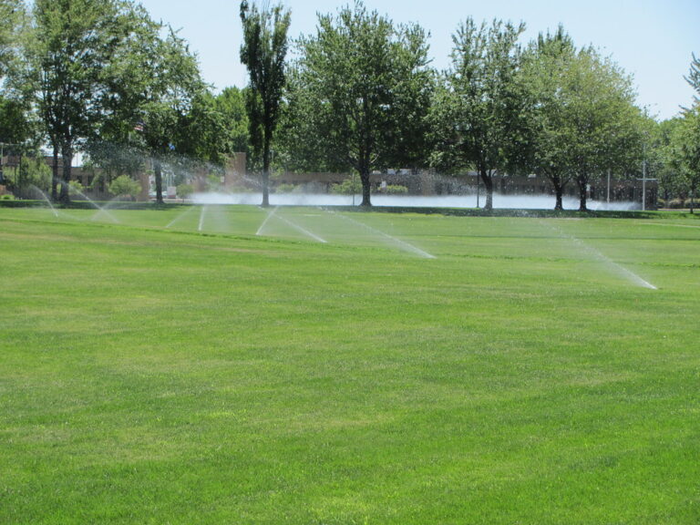 DIY vs. Professional Installation: Choosing the Right Approach for Your Lawn Irrigation System
